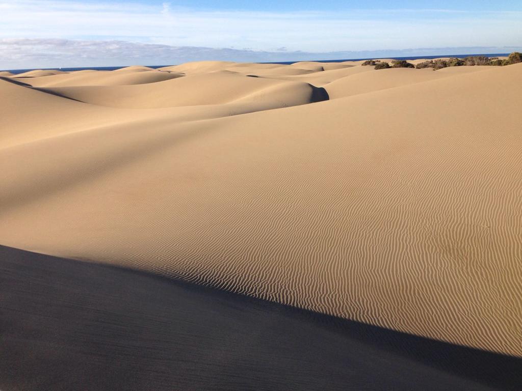 Parque Luz Maspalomas (Gran Canaria) Exterior foto